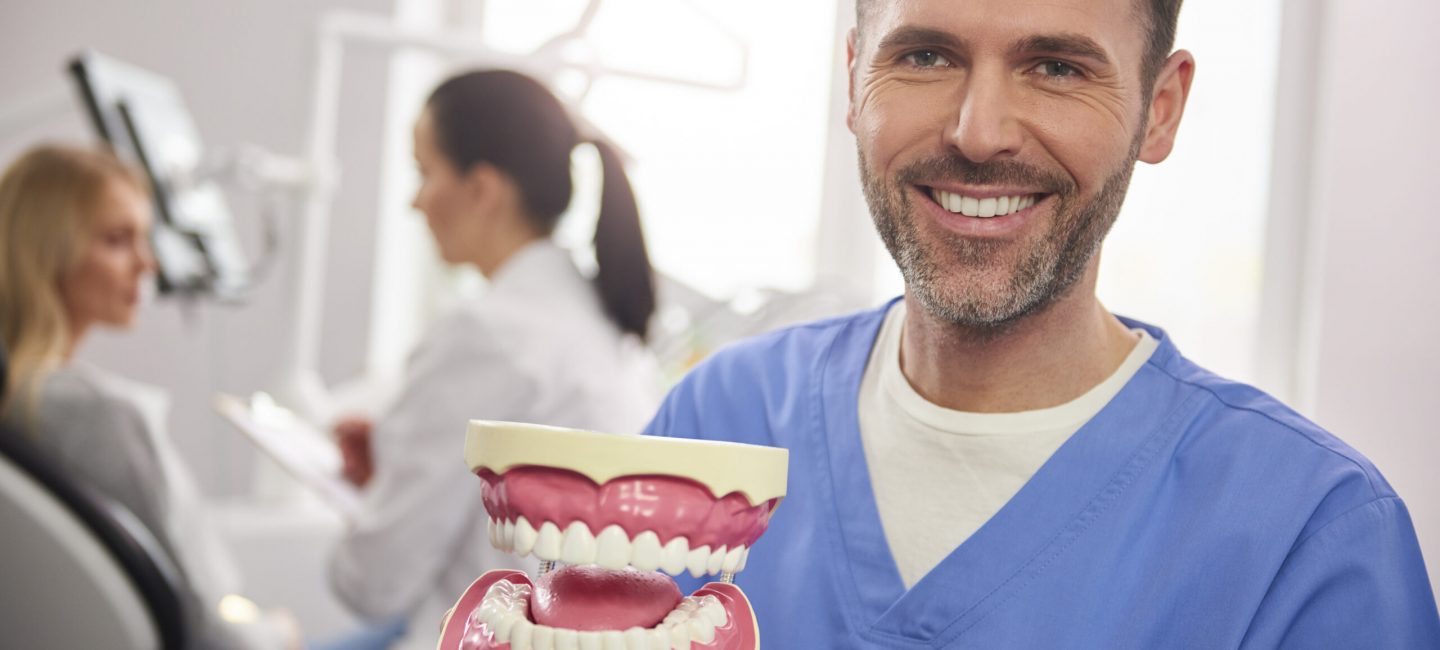 Smiling dentist showing an artificial dentures